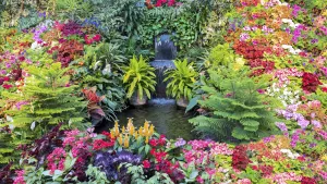 The Gardens Experience